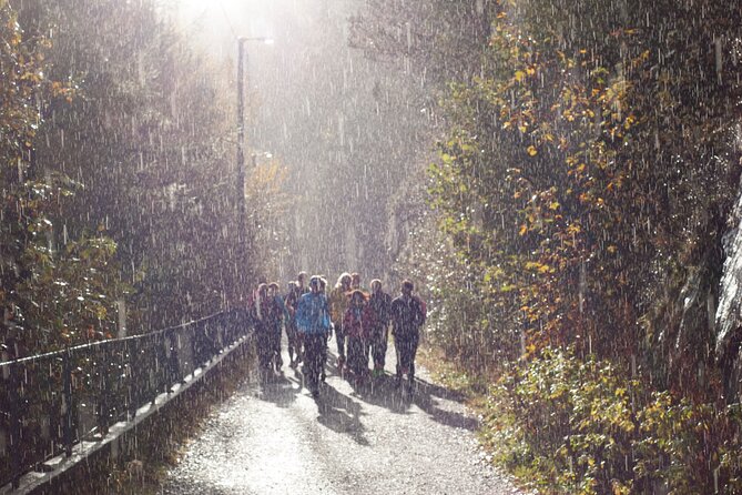Bergen: Private Walking Tour with a Local - A 2 to 6 hour private route that changes with your mood