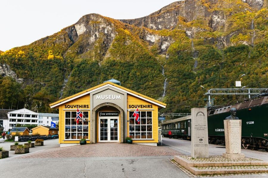 Bergen: Self-Guided Round-Trip Full-Day Excursion - Gudvangen to Flåm by premium fjord cruise (Aurlandsfjord and Nærøyfjord)