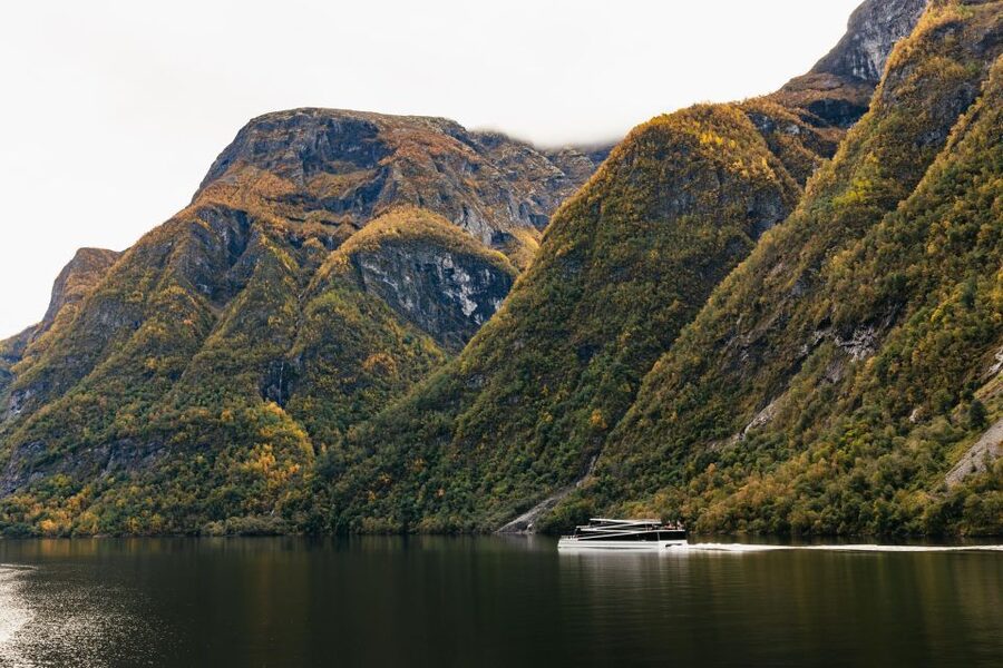 Bergen: Self-Guided Round-Trip Full-Day Excursion - Flåm Railway: the panoramic rail segment to Myrdal