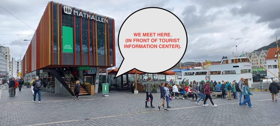 Bergen: Sightseeing Walking Tour with Ferry Ride - The ferry segment: see maritime Bergen the way the city expects