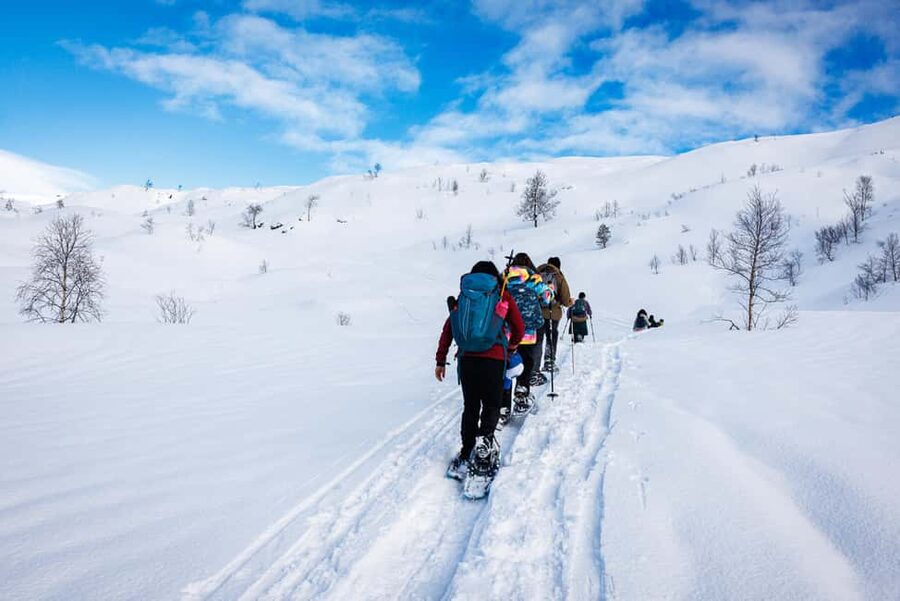 Bergen: Snowshoe Hike - Key highlights to watch for