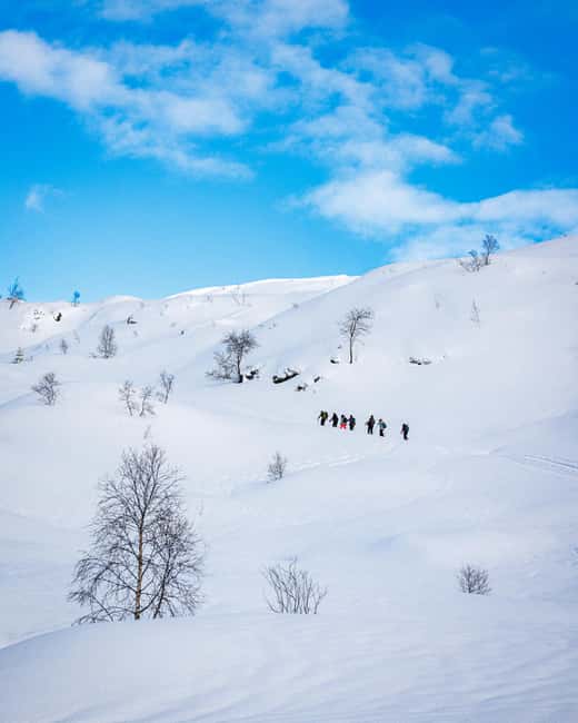 Bergen: Snowshoe Hike - Bergen snowshoe hike: what makes this winter outing work