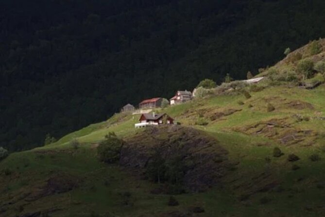 Bergen to Flam "The King of Fjords" One-Way or Round-Trip Cruise Ticket - Who should book this cruise, and who might skip it