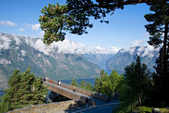 Bergen to Sognefjord Private Roudtrip with Cruise and Flasmbana - Price and Value Around $781 Per Person: What You Are Really Paying For