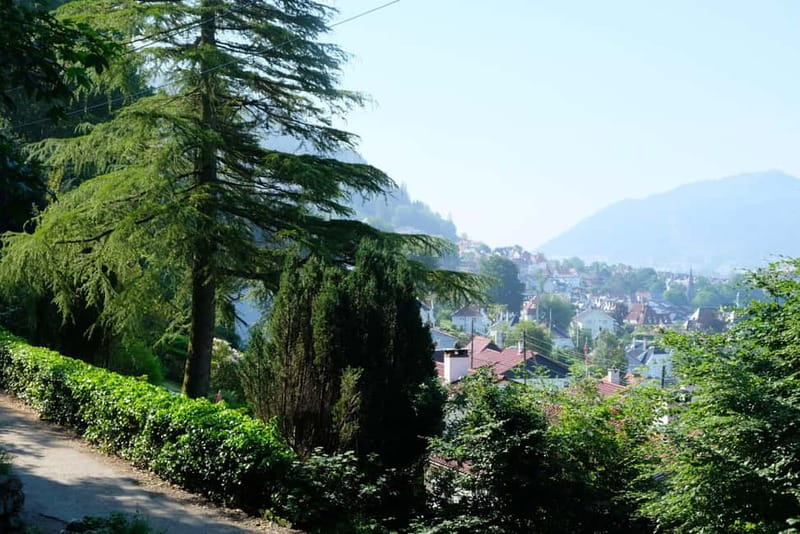 Bergen: Urban Mountain Hiking and History Tour - Who This Tour Is Best For (And Who Should Skip It)