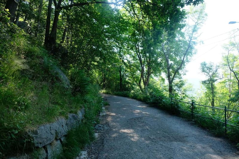 Bergen: Urban Mountain Hiking and History Tour - Should You Book This Bergen Urban Mountain Hike?