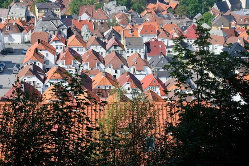 Bergen: Urban Mountain Hiking and History Tour - Bryggen Start: Trading-Pier Alleys, Hanseatic Power, and St. Mary’s Church