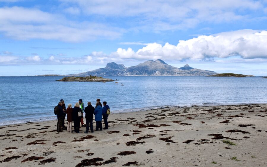 Bodø: Arctic Coastal Walk - Getting there from Terminalveien 2408 and what the pace feels like