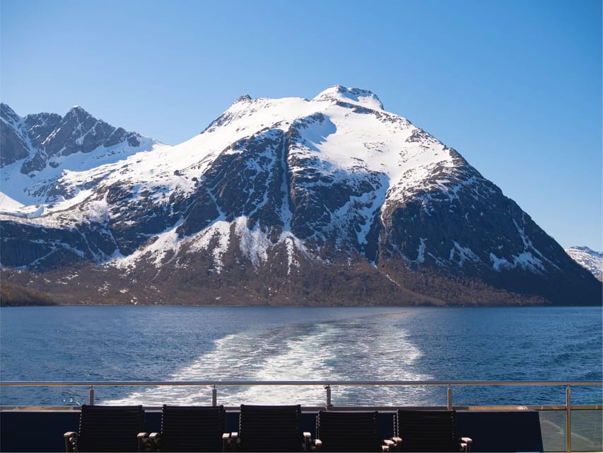 Bodø: Beiar Fjord & Saltstraument Cruise - Why this Bodø winter cruise feels calmer than most
