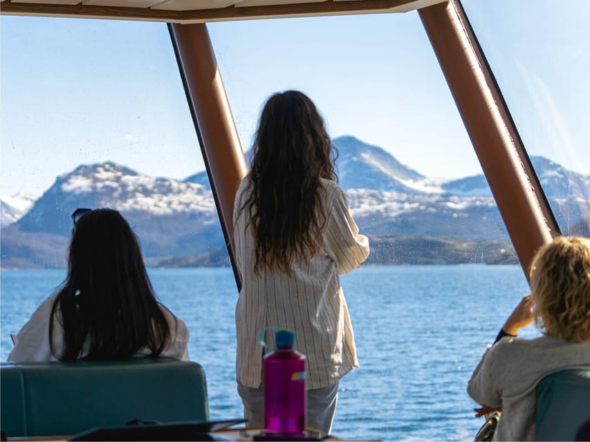 Bodø: Beiar Fjord & Saltstraument Cruise - Should you book this Bodø Beiar Fjord and Saltstraumen cruise?