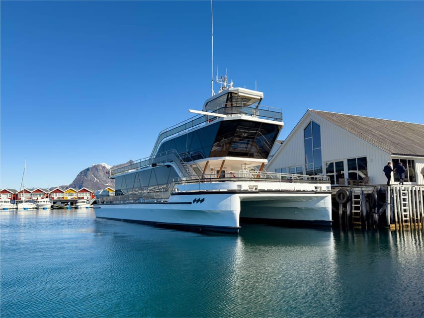 Bodø: Kjerringøy & Silent Coastal Cruise - Getting on board with Brim Explorer Bodø, and why meeting on time helps