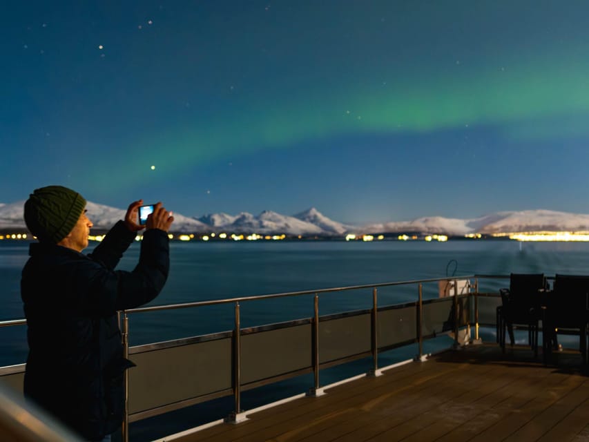 Bodø: Northern Lights Cruise - Key highlights to look for