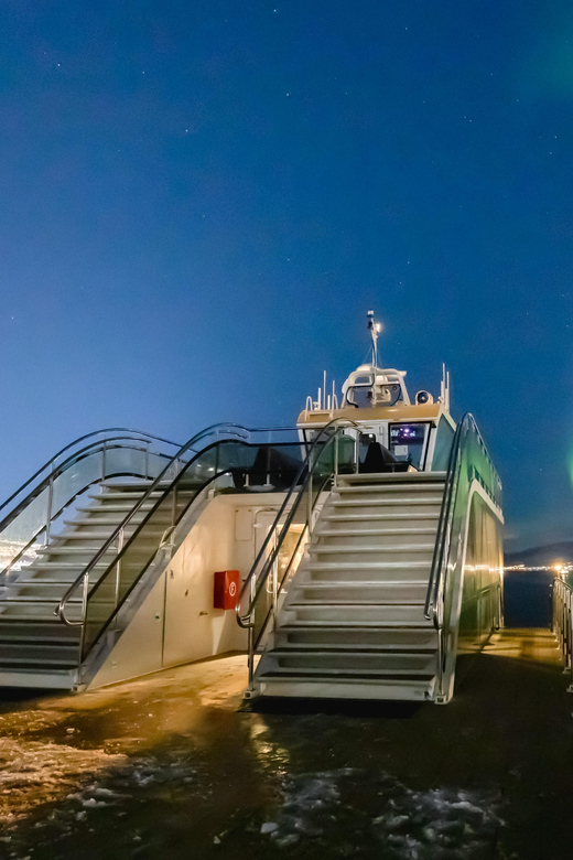 Bodø: Northern Lights Cruise - Why Vestfjorden at night is a smart place to hunt auroras