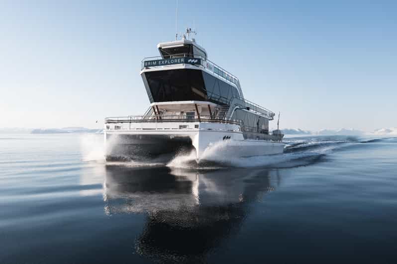 Bodø: Northern Lights Cruise - Price and value: what $103 buys in the aurora season