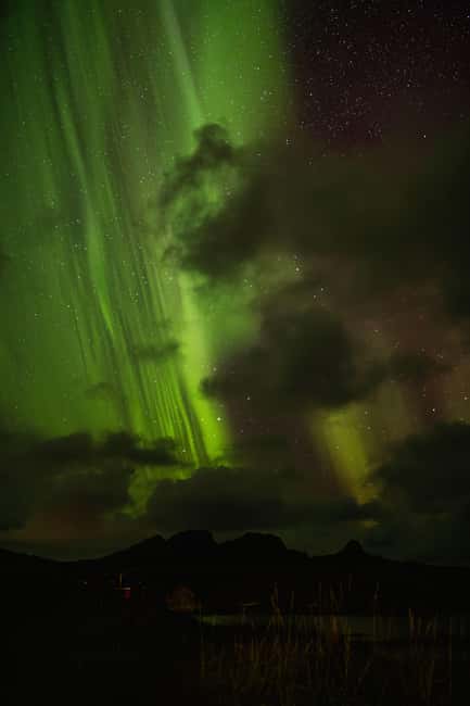 Bodø: Northern Lights safari - Key things I’d plan around