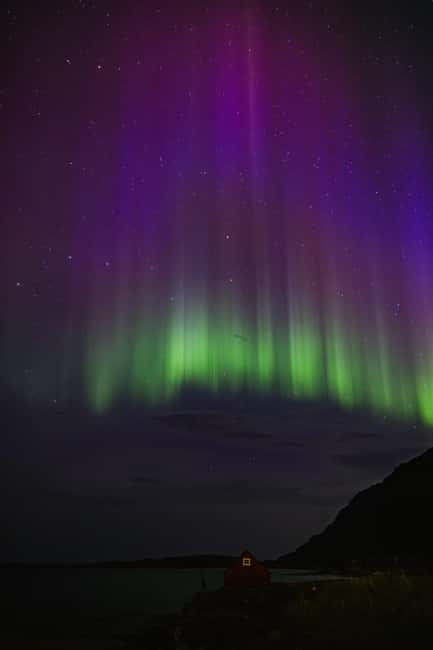 Bodø: Northern Lights safari - Why this Bodø northern lights safari is worth your time
