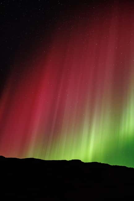 Bodø: Northern Lights safari - Who this safari is best for