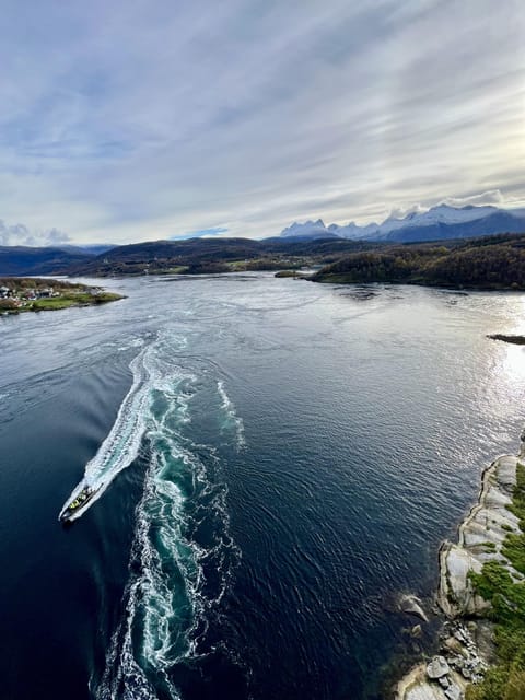 Bodø: Saltstraumen RIB Safari - The 2-Hour Loop: From Dock to Tidal Vortexes and Back