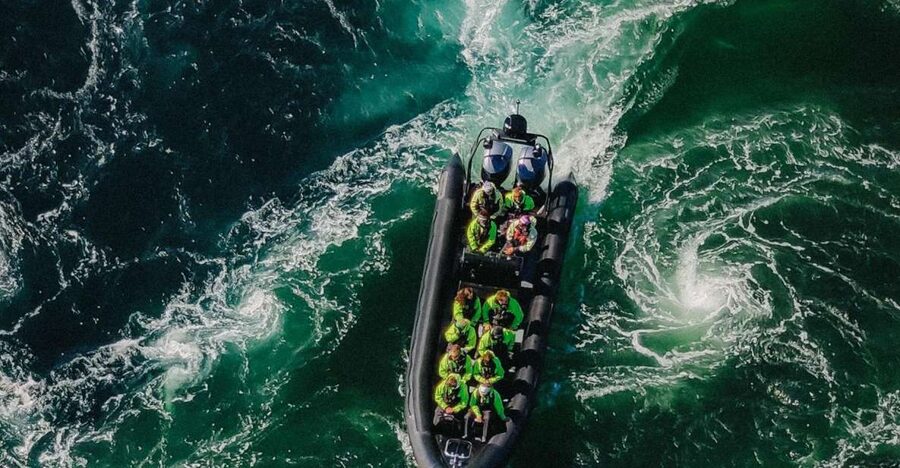 Bodø: Saltstraumen Sea Eagle Trip by RIB - Key points before you go