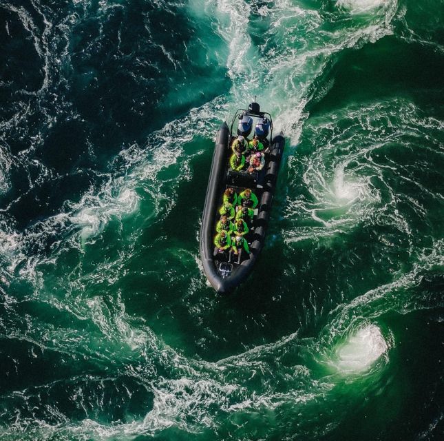 Bodø: Saltstraumen Sea Eagle Trip by RIB - Saltstraumen’s maelstrom on a RIB, the short trip that feels big