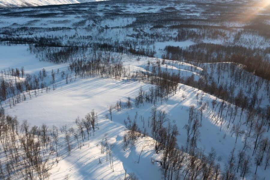 Breivikeidet: Cross-Country Skiing & Husky Visit - Cross-country skiing from Tromsø to Breivikeidet: what the day really feels like