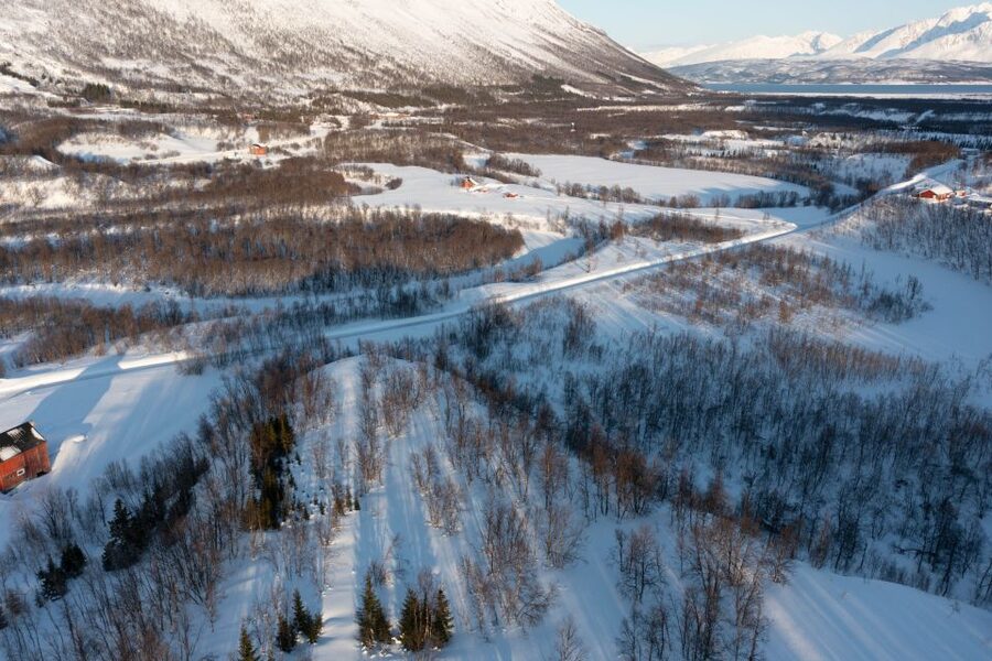 Breivikeidet: Cross-Country Skiing & Husky Visit - The ski lesson on snow: pacing, safety, and actually learning