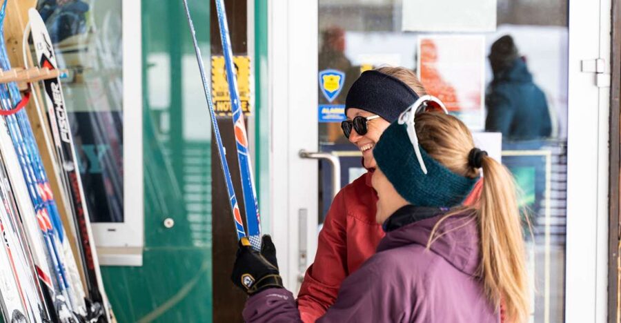 Breivikeidet: Cross-Country Skiing & Husky Visit - Skiing through the Lyngen Alps views: what to watch for on the trail