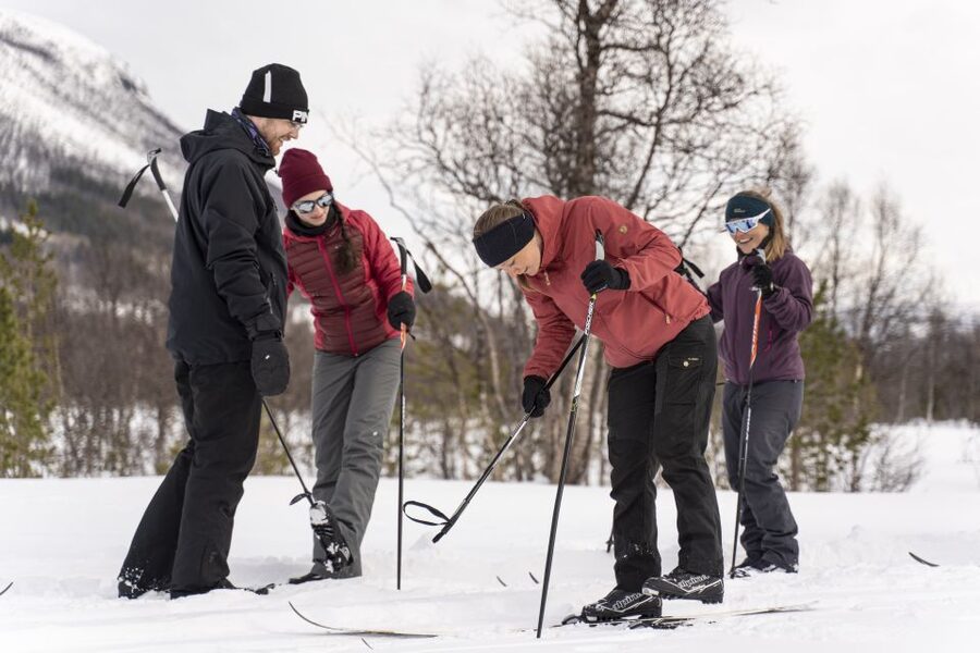 Breivikeidet: Cross-Country Skiing & Husky Visit - Husky yard time: cuddles with about 80 dogs, plus a look at sled life