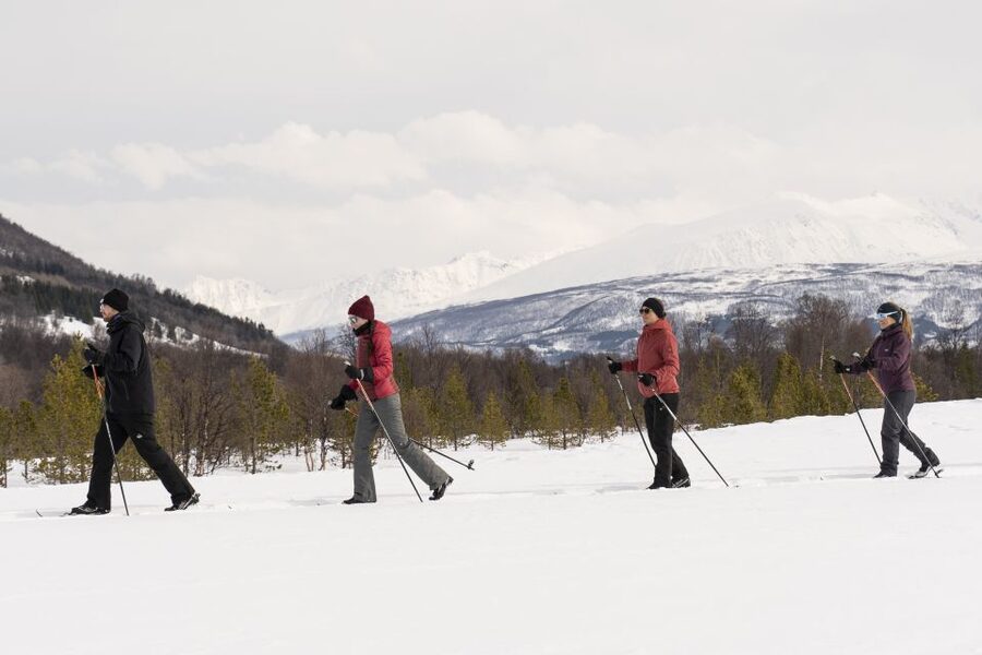 Breivikeidet: Cross-Country Skiing & Husky Visit - Price and value: is $145 fair for what you get in Breivikeidet?