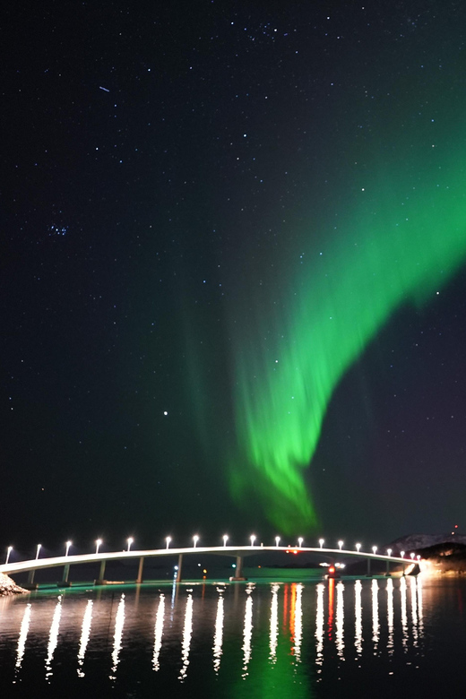 Chase the Magic of the Northern Lights in Tromsø Norway - Tromsø City Library meeting point, passports, and the short cold-weather briefing