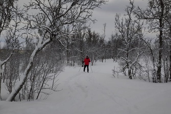 Cross-Country Ski Lesson for Beginners in Tromso - Guides Who Teach, Not Just Lead