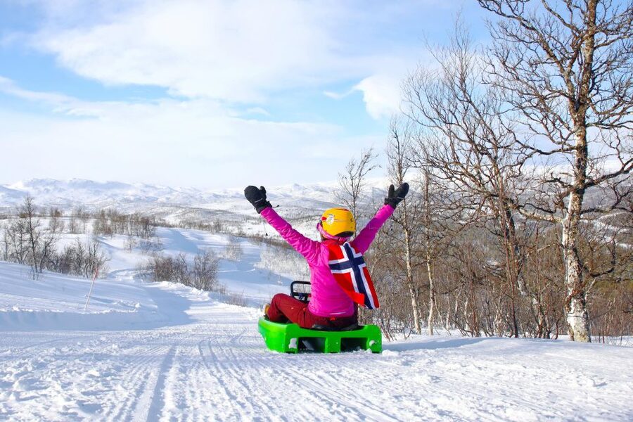 Dagali: 2-Hour Racing Toboggan Adventure - Key highlights to know before you go