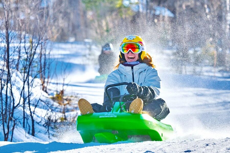 Dagali: 2-Hour Racing Toboggan Adventure - Price and value: $48 for a 2-hour skipass and gear