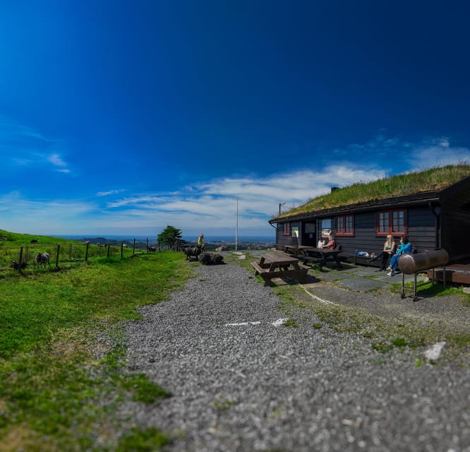Discover Haugesund and visit a local mountain farmer - Haugesund viewpoints and the Kringsjå farm connection
