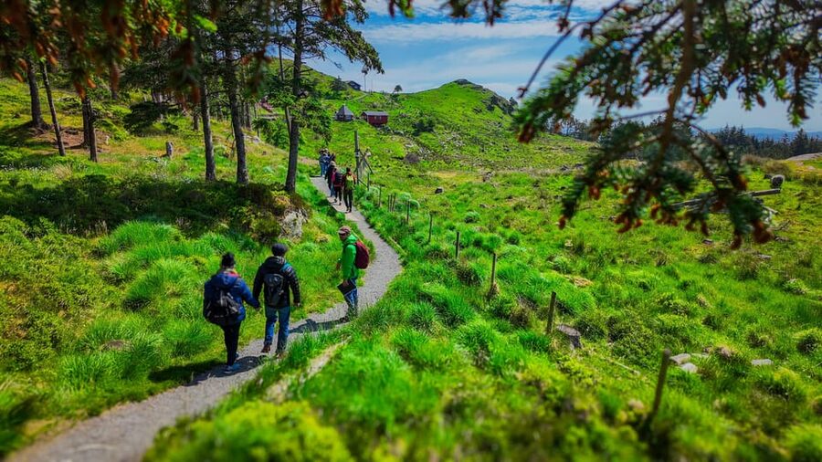 Discover Haugesund and visit a local mountain farmer - From Haugesund Cruisehavn to Steinsfjellet for the first big views