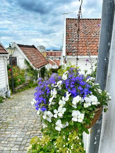 Discover Private+ Stavanger Guided City Tour - Key Points You Will Care About