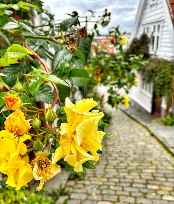 Discover Private+ Stavanger Guided City Tour - Gamle Stavanger Stop: Old Streets You Can Feel