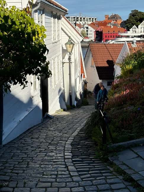 Discover Private+ Stavanger Guided City Tour - Breiavatnet: A Quick Lake Stop That Changes Your View