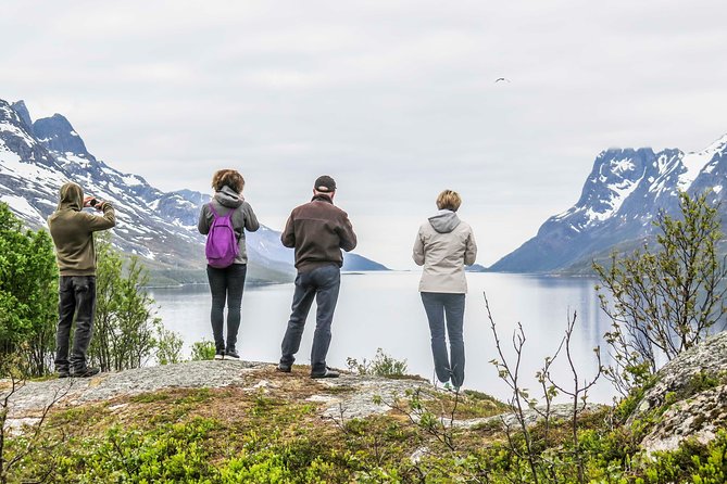 Discover the Fjords of Kvaloya - a roadtrip along fjords and fishing villages - Ersfjordbotn Lunch Break: Norwegian Comfort Food With a View