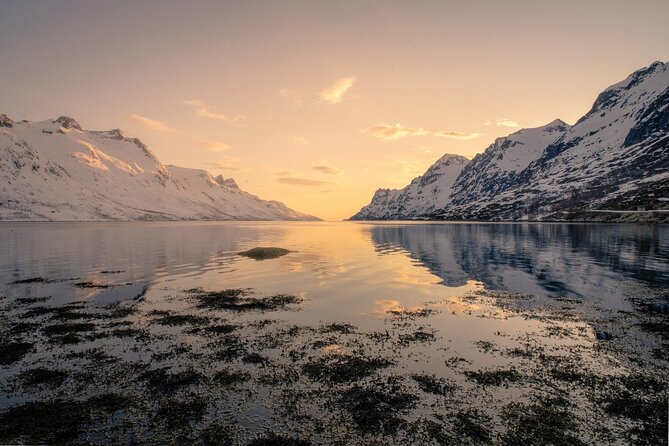 Discover the Fjords of Kvaloya - a roadtrip along fjords and fishing villages - Your Guide Matters More Than You Think: Samuel, Robert, JJ, Matt, Kat, and Bjørnar
