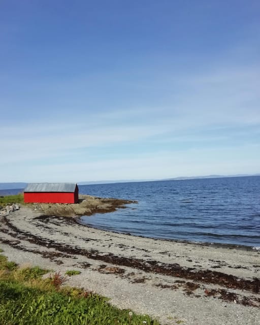Discovery hike along the Trondheimsfjord - Key Points You Will Notice Right Away