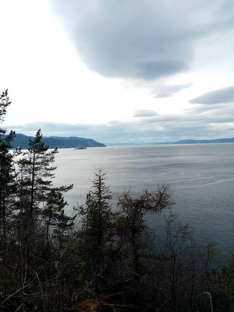 Discovery hike along the Trondheimsfjord - Østmarka German Bunker Stop: Where History Sits in Plain Sight