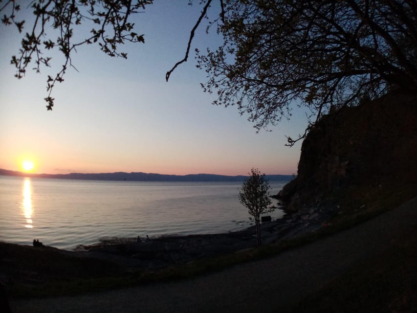 Discovery hike along the Trondheimsfjord - Ending at Rotvoll: Finish Cleanly Without Stress