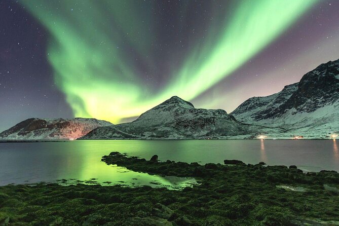 Discovery tour of the island of Senja and Kvaløya from Tromsø - Key highlights before you go