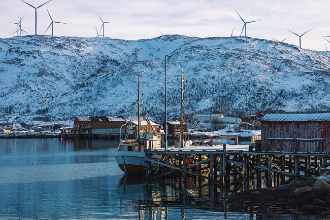 Discovery tour of the island of Senja and Kvaløya from Tromsø - Price and value: what $289.69 buys you in the real world