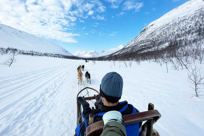 Dog Sledding: A Self-Drive Arctic Experience from Tromsø - Key things to know before you go