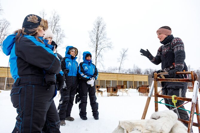 Dog Sledding: A Self-Drive Arctic Experience from Tromsø - From Tromsø Harbor to the Breivikeidet Husky Farm