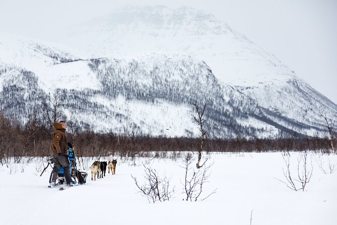 Dog Sledding: A Self-Drive Arctic Experience from Tromsø - How Self-Drive Works: Brakes, Speed Control, and the Passenger Anchor