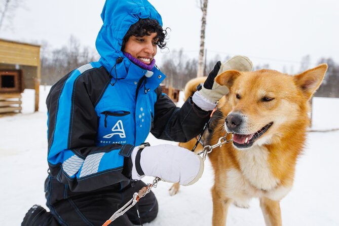 Dog Sledding: A Self-Drive Arctic Experience from Tromsø - The Staff and the Briefing Style: Light, Clear, and Focused on Safety