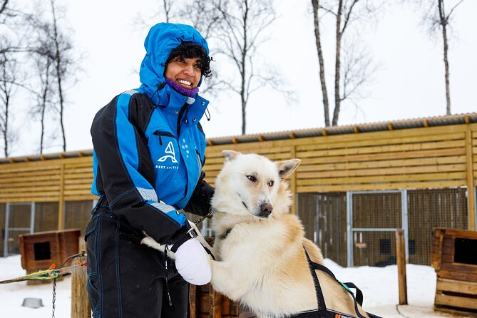 Dog Sledding: A Self-Drive Arctic Experience from Tromsø - Price and Value: What You’re Paying For and Why It Adds Up